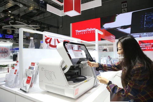 进博会首发 引领未来的网络技术服务，如何重塑我们的生活图景